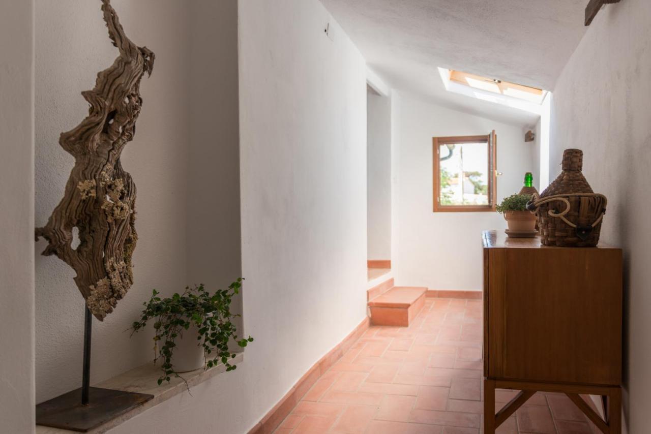 מאסה מריטימה Agriturismo Schiaccia Ghiande מראה חיצוני תמונה